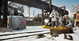 Vigor - DayZ Frostline Pack