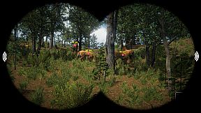 The Mountain Hunting