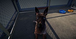 Animal Shelter: Prologue