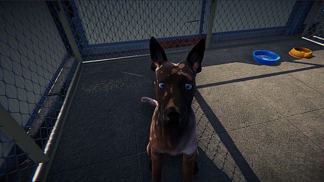 Animal Shelter: Prologue