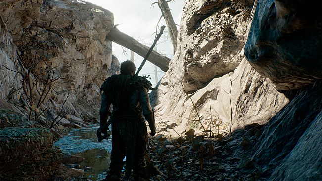 Last Reach
