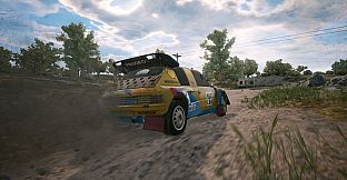 Dakar 18 - Ari Vatanen / Peugeot 205 Turbo 16