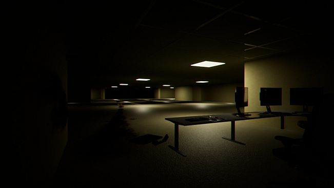 The Backrooms Experiment