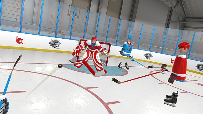 Hockey Player VR