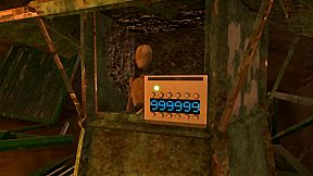 IF: Walls could answer