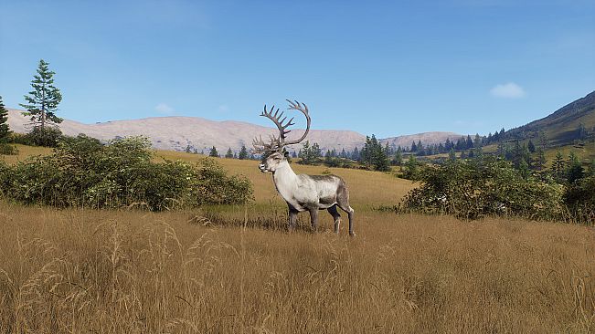 Way of the Hunter - Elkcrest Island