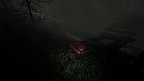 The Disappearance of Emily Crowe