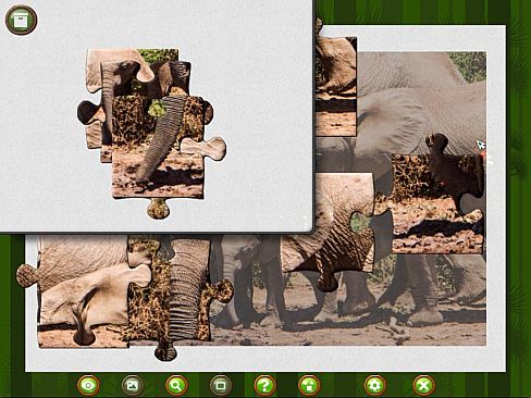 1001 Jigsaw. Wild Animals