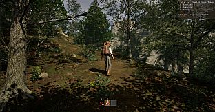 The Wandering Trader