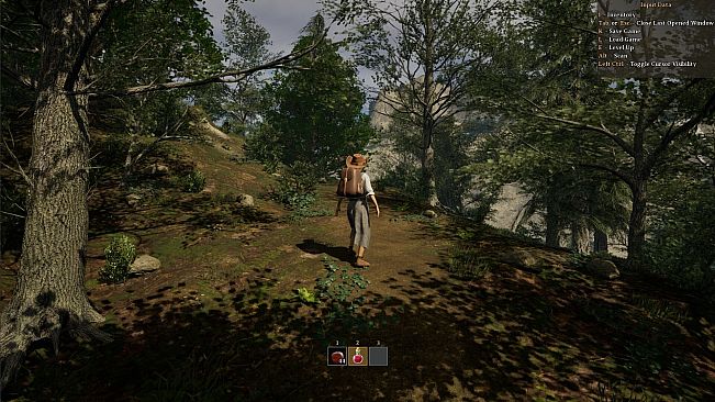 The Wandering Trader