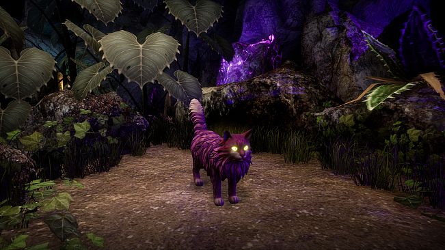 Another Sight - Hodge Skins