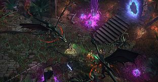 Pathfinder: Kingmaker — The Wildcards