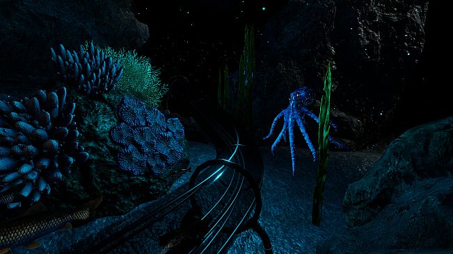 Epic Roller Coasters