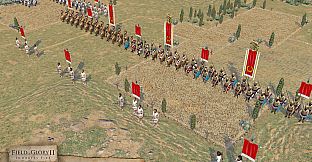 Field of Glory II: Immortal Fire