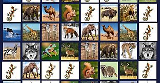 Memory Lost-Pairs - Animals