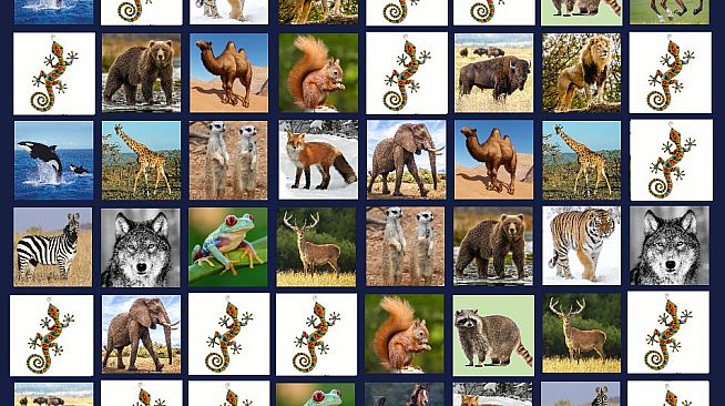 Memory Lost-Pairs - Animals