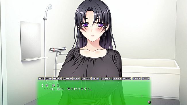 Hitozuma Netori Kannrinin