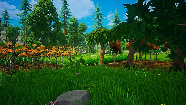 My Money Grows On Trees