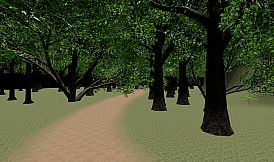 Playtime with Hoogie