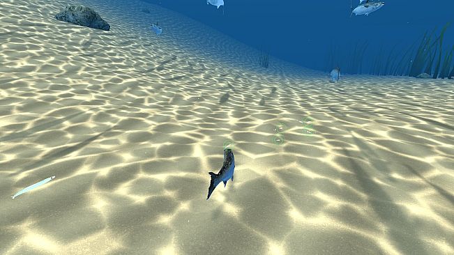 Omega 3