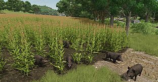 Farming Simulator 25: Vredo Pack