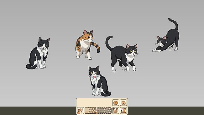 Nothing But Cats