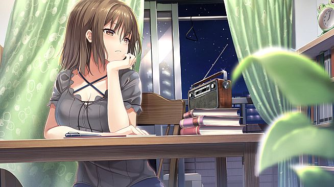 The Future Radio and the Artificial Pigeons