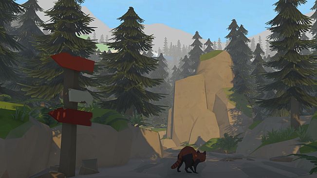 When the Embers Wake