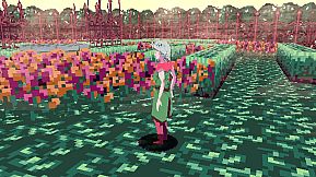 Journey of the Garden Rose