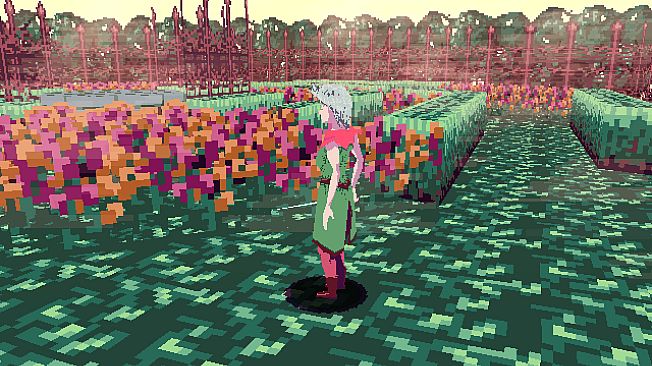 Journey of the Garden Rose