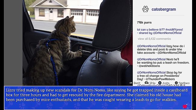 Cat President: A More Purrfect Union