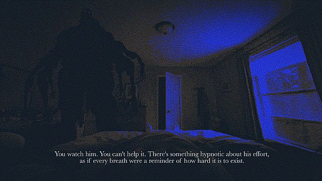 My Favorite Shadow