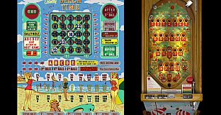 Bingo Pinball Gameroom - Bally Beach Time