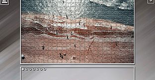 Super Jigsaw Puzzle: Generations - Beaches 3