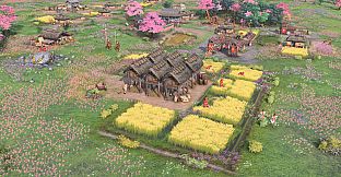 Age of Empires IV:  The Sultans Ascend