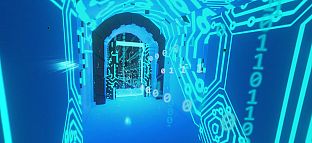 My Dear Neighbor, edition 404