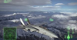 ACE COMBAT 8 - Playable Aircraft: F-14A