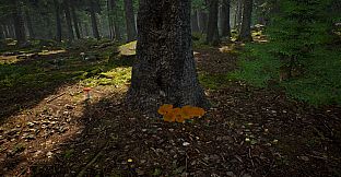 Mushroom Hunter Simulator