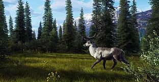 Way of the Hunter - Aurora Shores