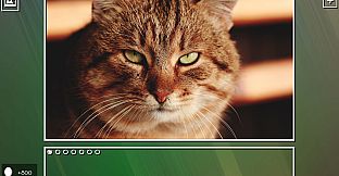 Super Jigsaw Puzzle: Generations - Cats Puzzles