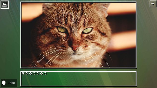 Super Jigsaw Puzzle: Generations - Cats Puzzles