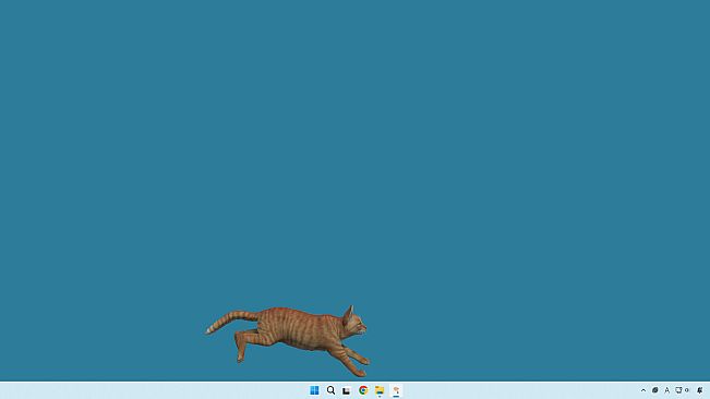 desktop my cat