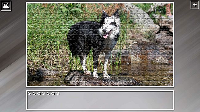 Super Jigsaw Puzzle: Generations - Dogs 3