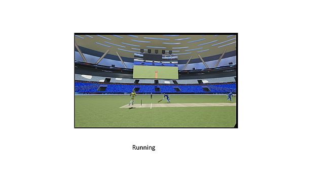 VR Cricket