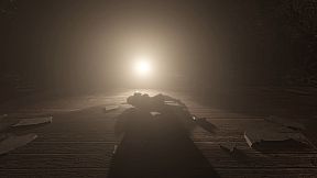 Selene's Unbearable Night