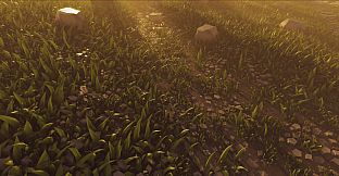 Walking With The Wild