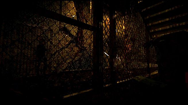 Cornered Cadavers