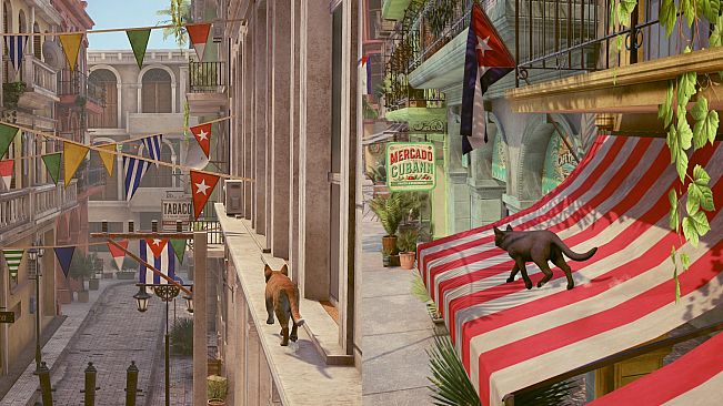 Little Strays - Havana