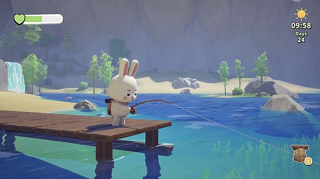 Vanlife Journey and Bunny’s Wishlist