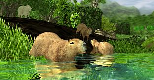 Wildlife Park 3 - Amazonas